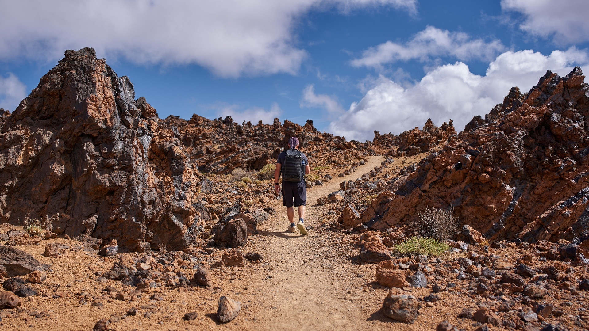 ESPLP0003 Espagne Îles Canaries Ténérife Teide @Slatan Canva (3)