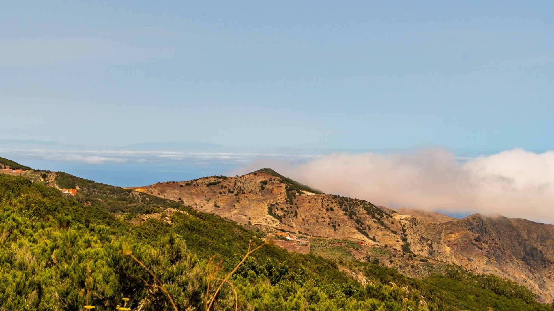 ESPLP0003 Espagne Îles Canaries Ténérife Teno Alto @Carlos Herreros Canva