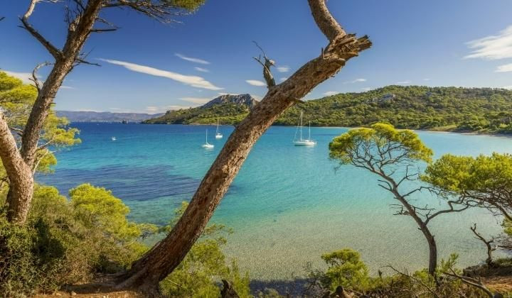 Plage de Notre-Dame entre les pins - Porquerolles - Provence