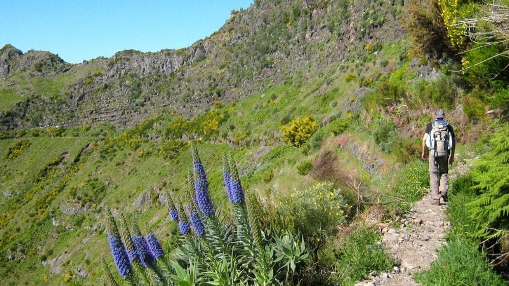 Randonnée vers la levada de Lombo do Mouro - Madère - Portugal