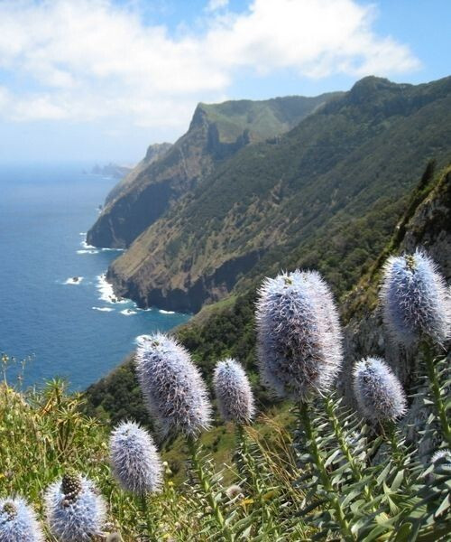 © Manuel Spinosa J3 Sentier De La Cote Nord Madere - Madère