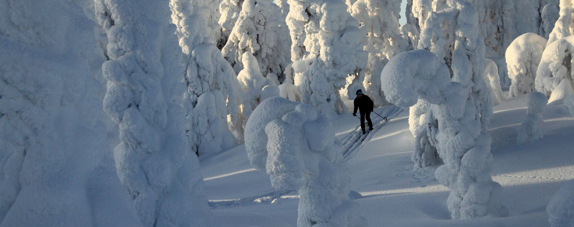 Ski de randonnée nordique - Pallas-Yllästunturi - Laponie - Finlande
