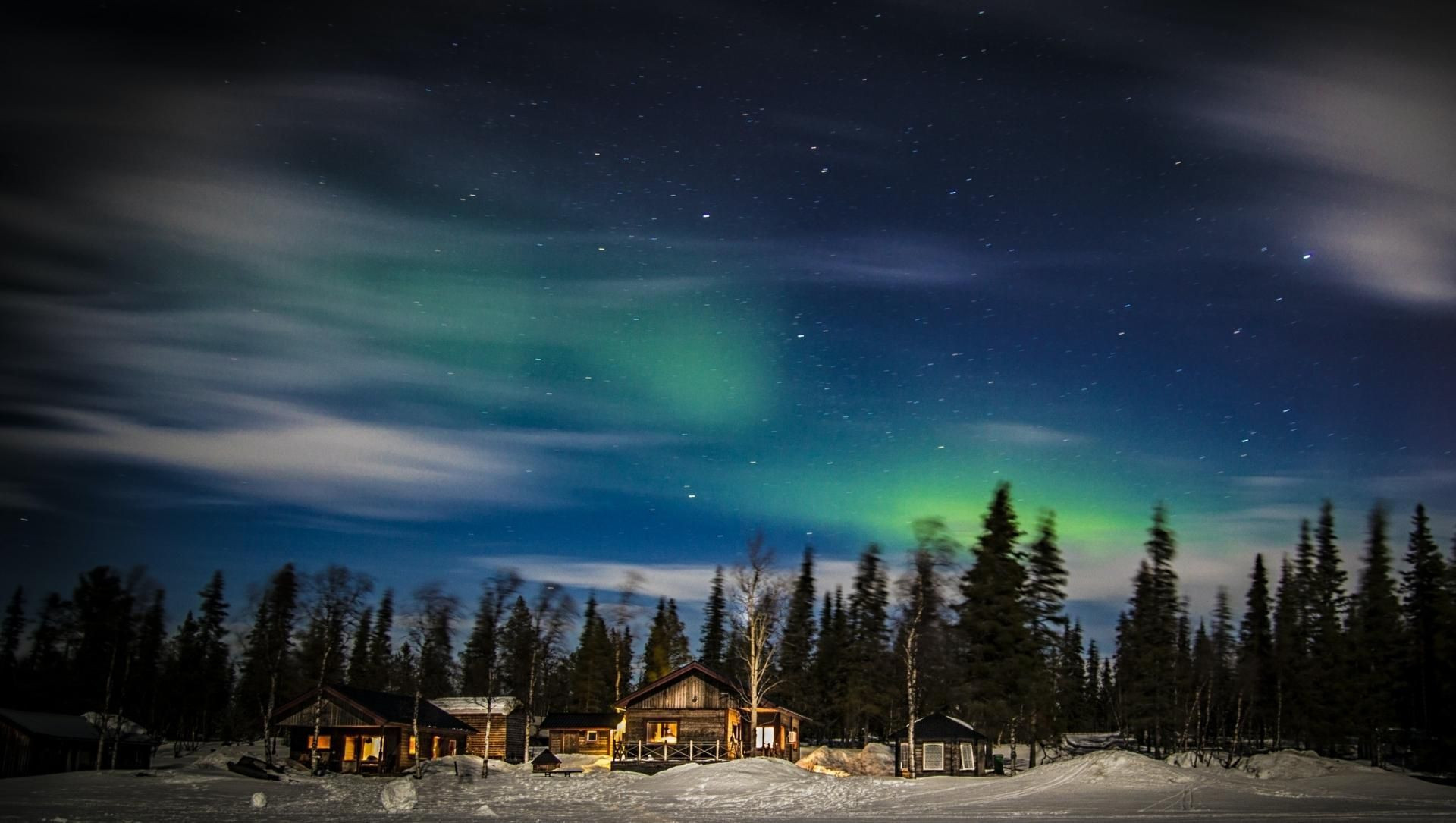 © Adobe Stock Aurores boréales au-dessus de la forêt - Kiruna - Laponie - Suède