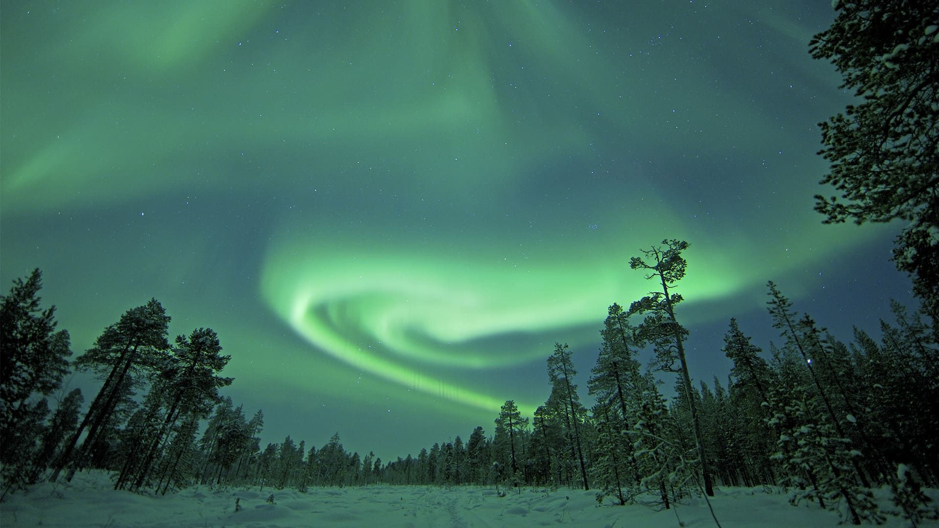 Reiser og turer med nordlys – det høye nord og Lappland