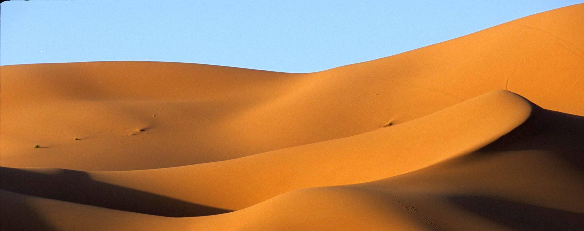 © Laurent Comte Dunes de sable - Sud marocain - Maroc