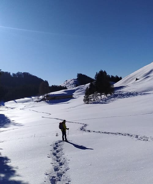 Randonneur en raquettes dans la neige fraîche - Tyrol - Autriche