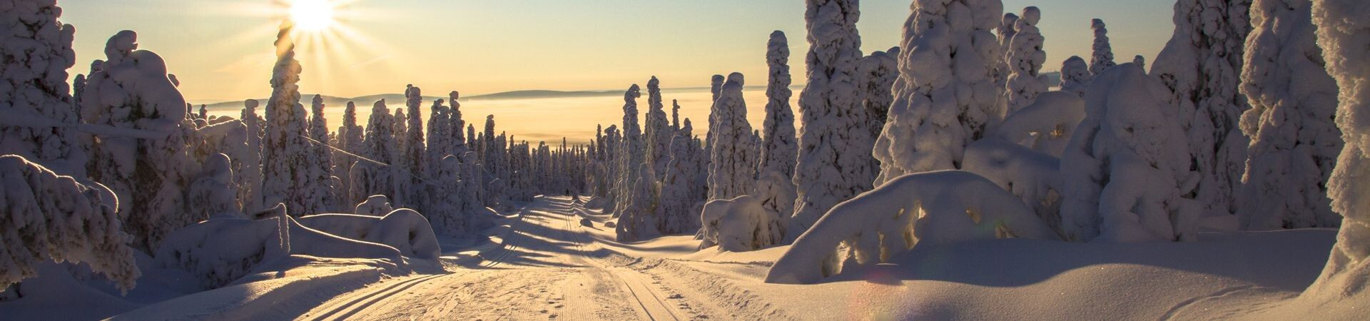 Langrennstur og nordisk topptur på ski i Lappland i 2026