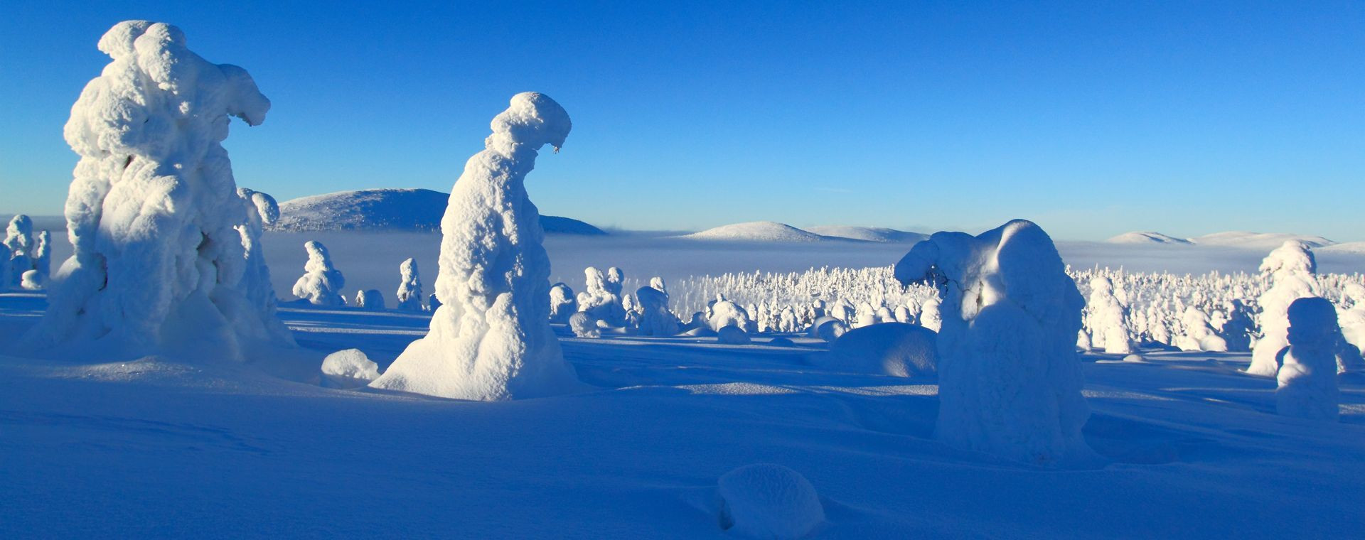 Vue Paysage Enneige Nord Hiver - Finlande