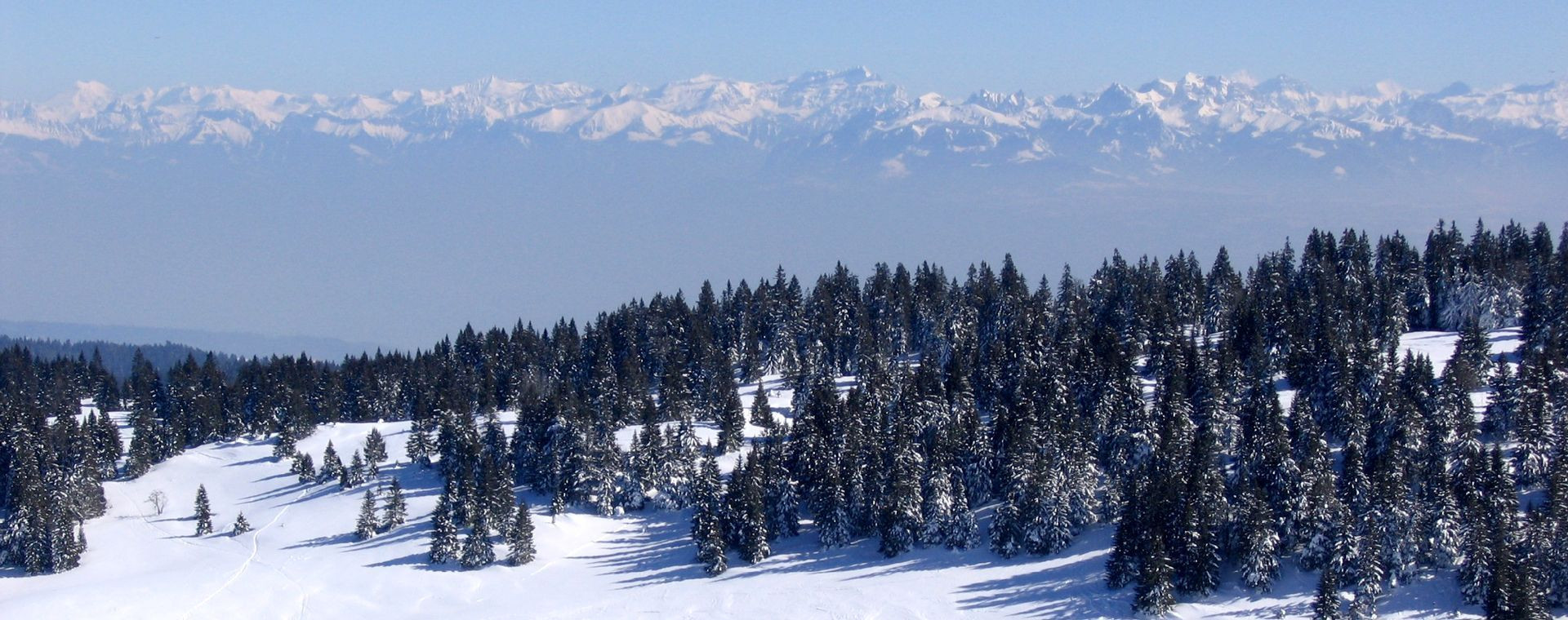 Forêt enneigée face aux Alpes - Jura franco-suisse