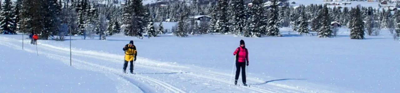 Langrennsferie i Golsfjellet